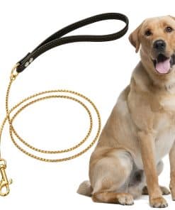 Correa resistente SUNEW Chewy Chain con mango de cuero,