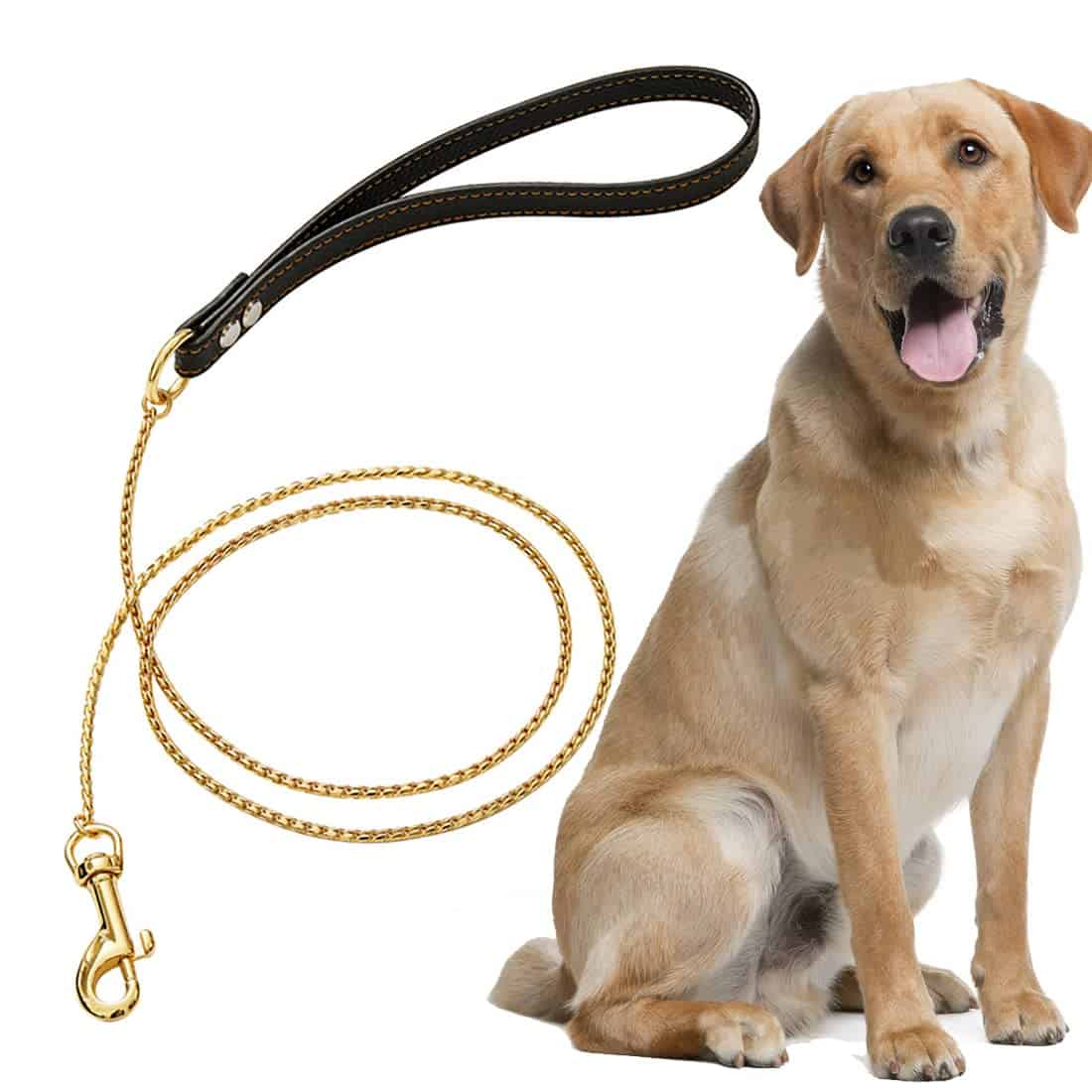 Correa resistente SUNEW Chewy Chain con mango de cuero,