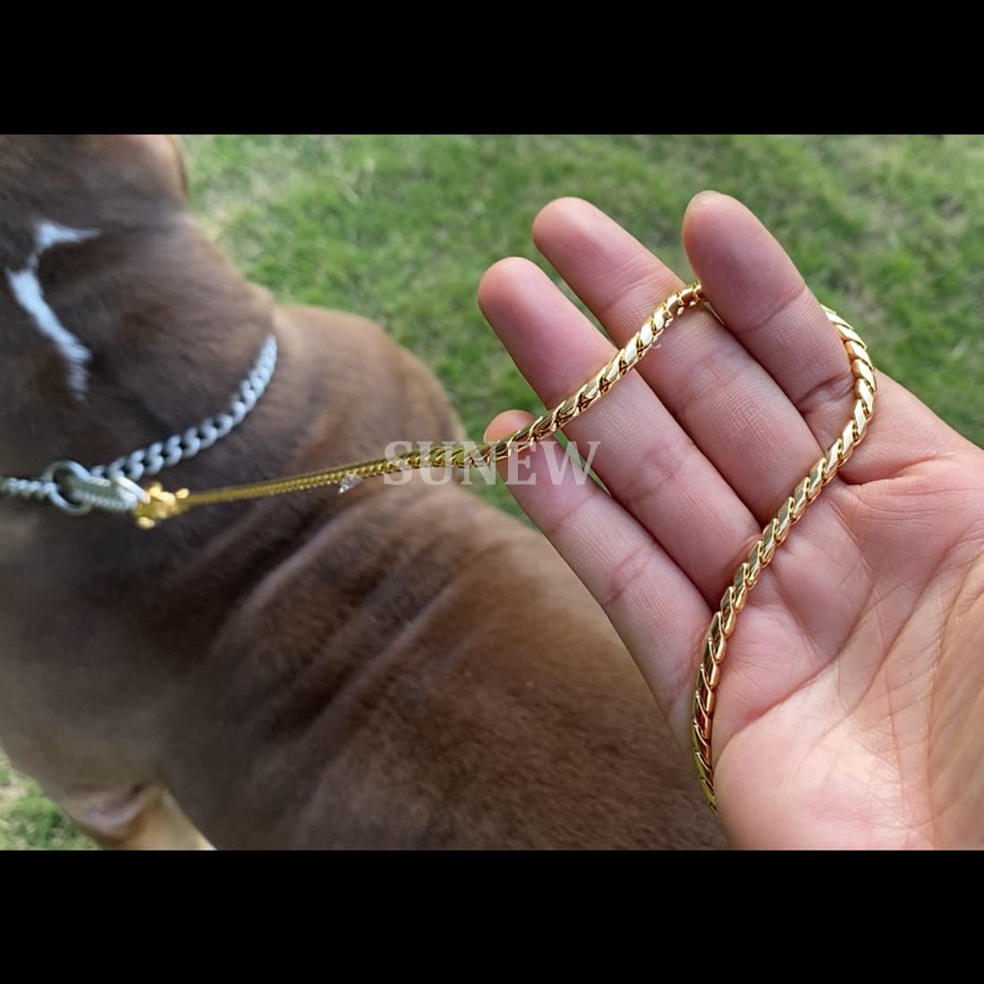 Correa resistente SUNEW Chewy Chain con mango de cuero, - Imagen 4