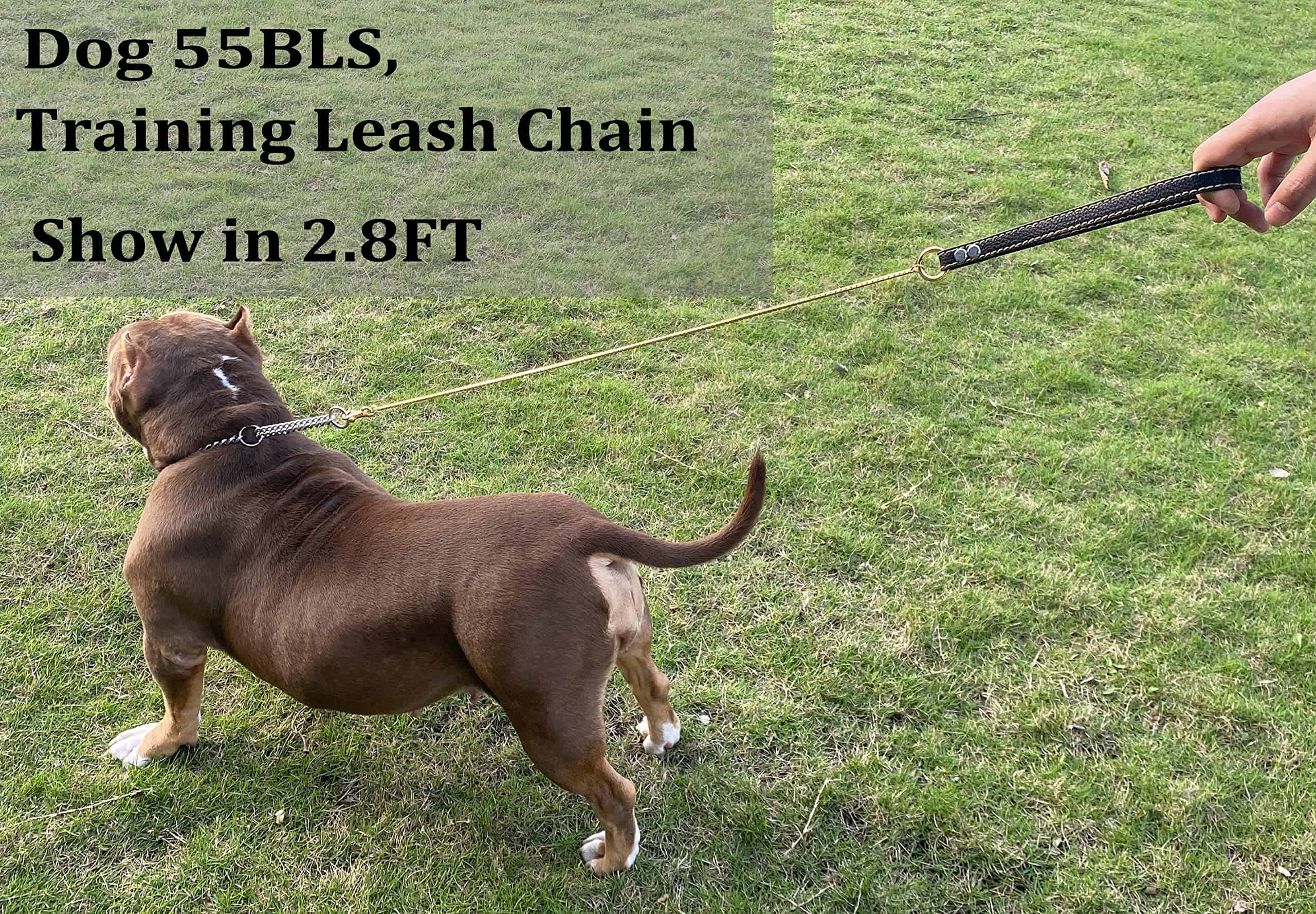 Correa resistente SUNEW Chewy Chain con mango de cuero, - Imagen 3