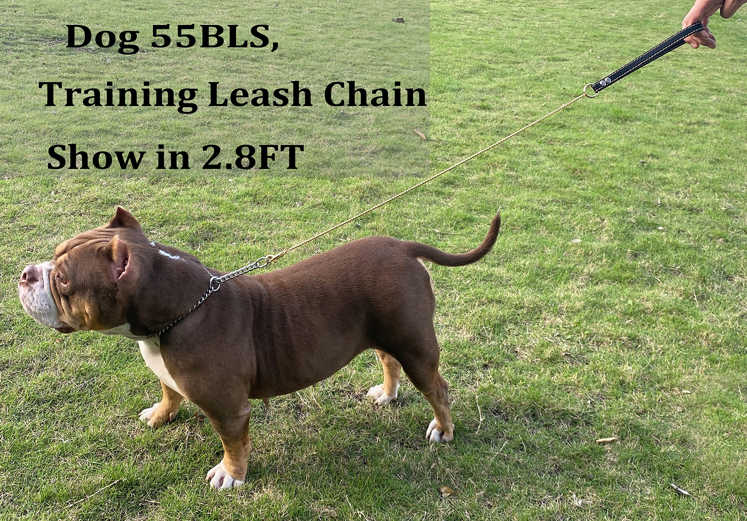 Correa resistente SUNEW Chewy Chain con mango de cuero, - Imagen 7