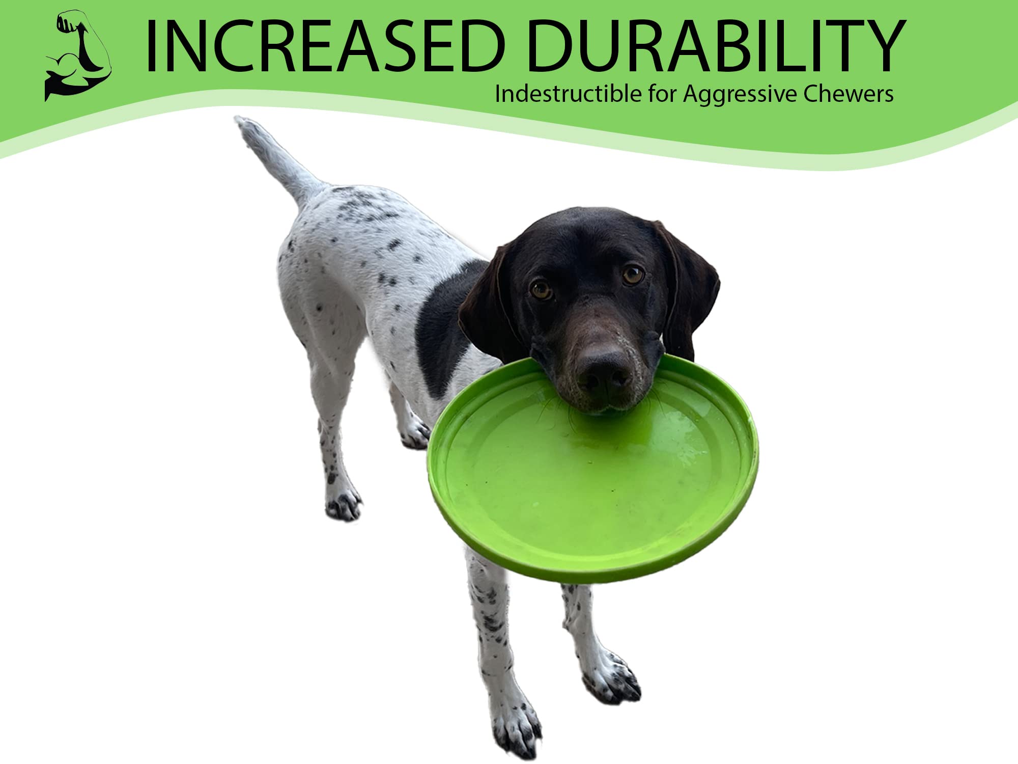 Frisbee Flyer Verde - Frisbee resistente y de alto vuelo, - Imagen 3