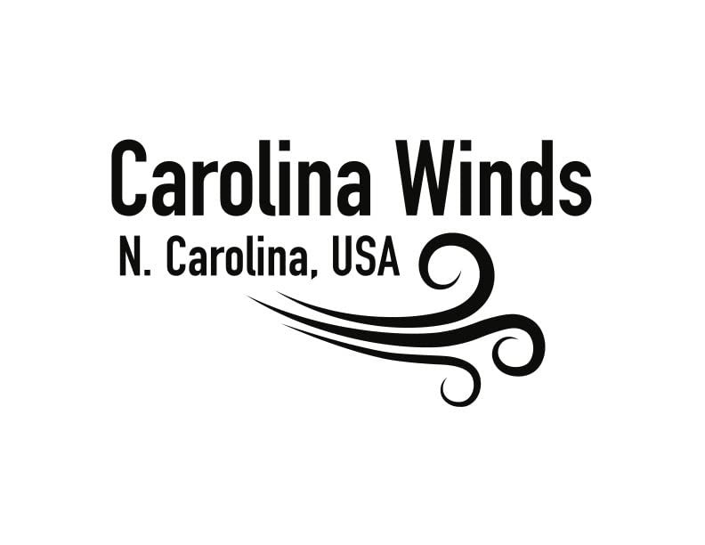 ¡APROBADO POR MAESTROS! Clarinete Bb Carolina Winds - Imagen 4