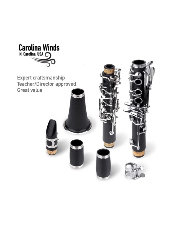 ¡APROBADO POR MAESTROS! Clarinete Bb Carolina Winds - Imagen 3