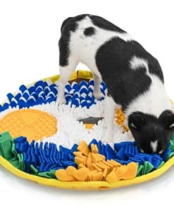 Tapete Olfativo SNOOTT OWLY - Tapete estimulante para