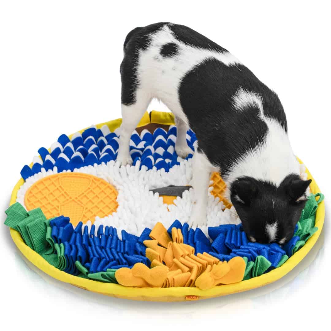 Tapete Olfativo SNOOTT OWLY - Tapete estimulante para