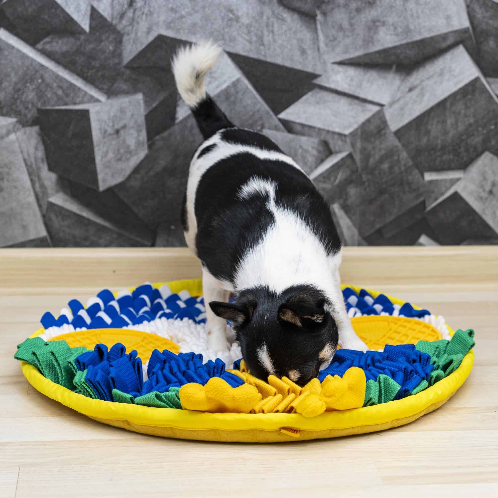 Tapete Olfativo SNOOTT OWLY - Tapete estimulante para - Imagen 9