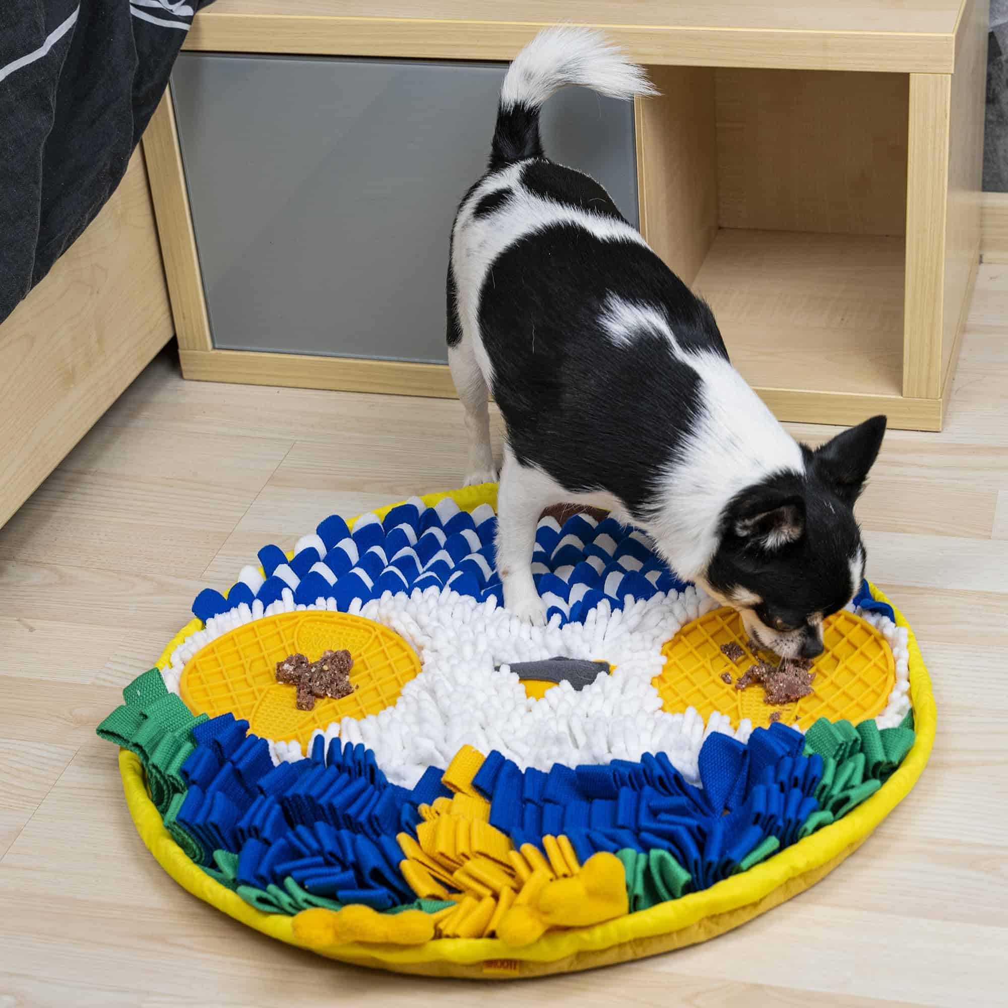 Tapete Olfativo SNOOTT OWLY - Tapete estimulante para - Imagen 8