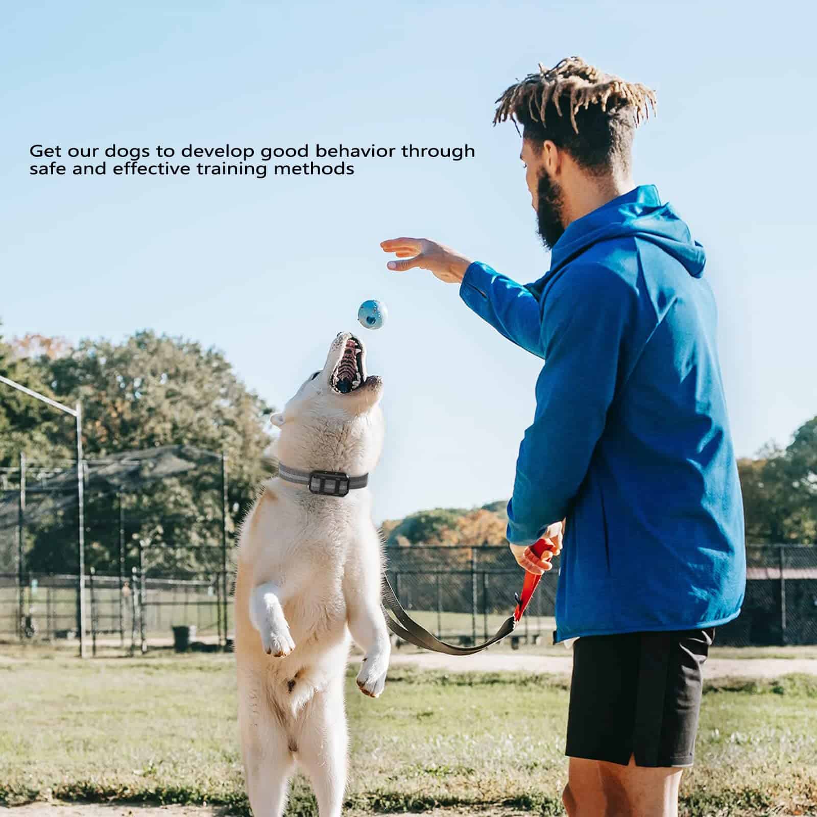 Collar de Entrenamiento para Detener los Ladridos de Perros - Imagen 7