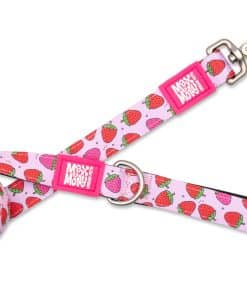 Correa para perros Max & Molly Classic 4 pies - Resistente,