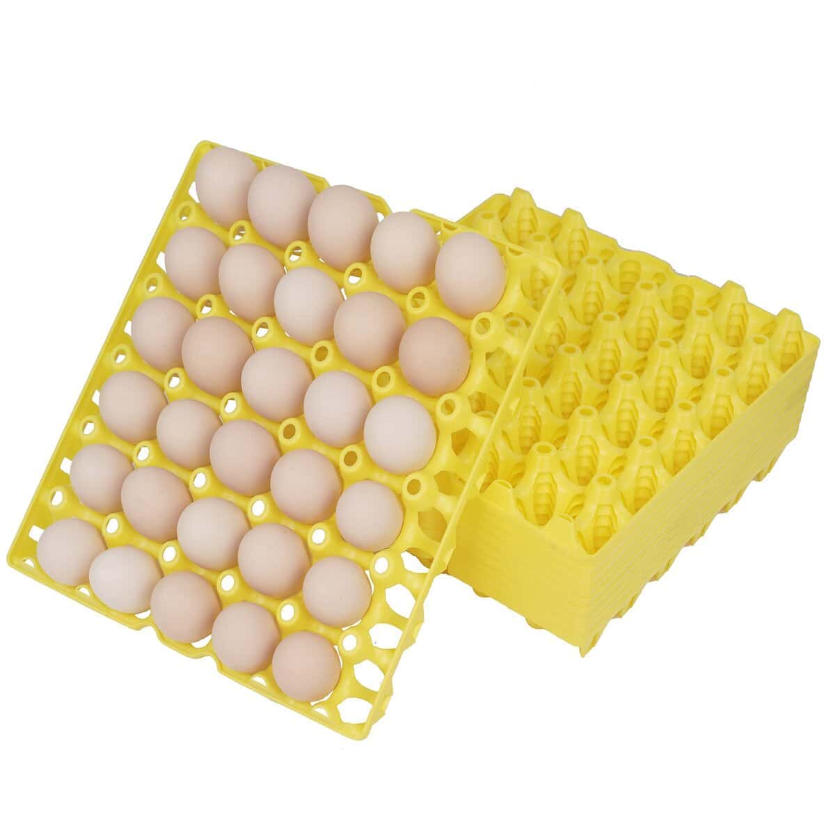 10 Piezas Bandejas de Huevos de Plástico 30 Celdas,