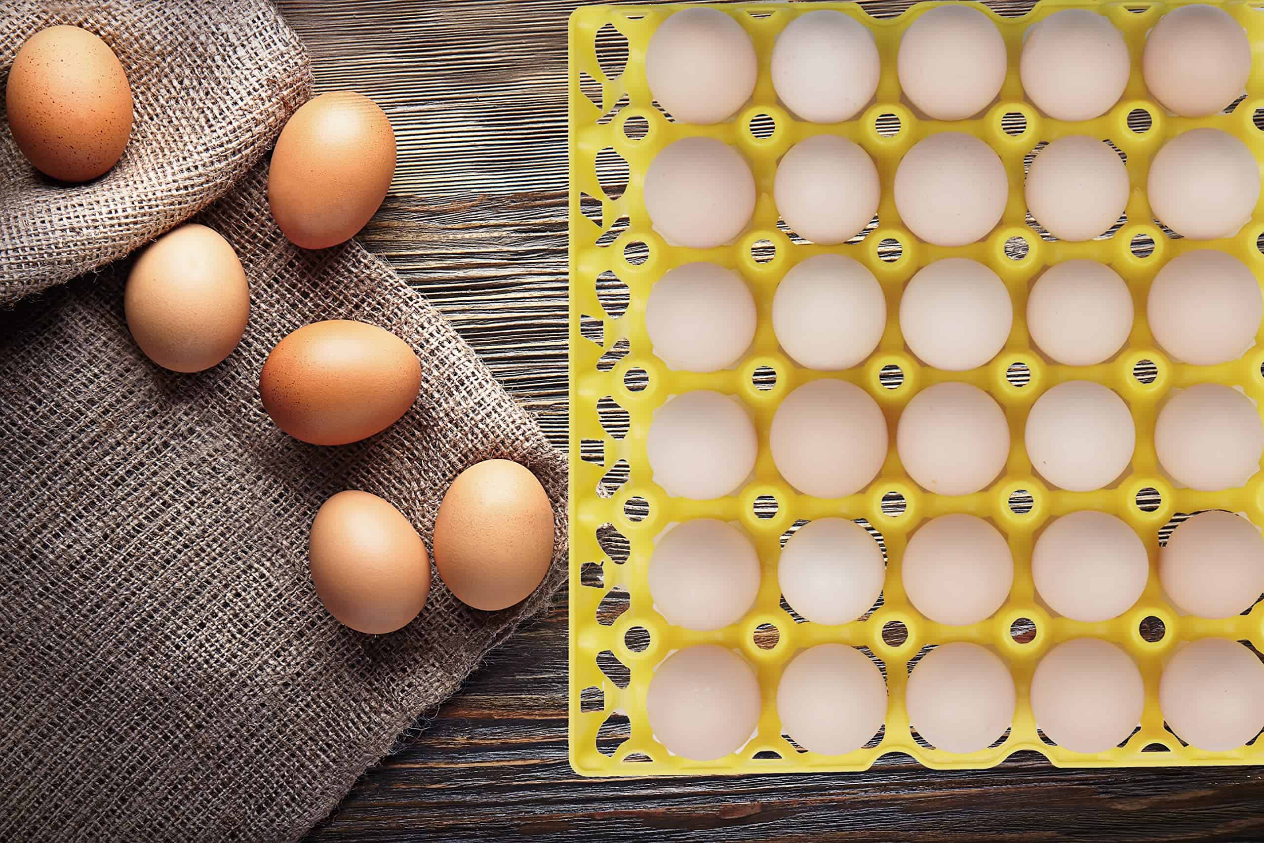 10 Piezas Bandejas de Huevos de Plástico 30 Celdas, - Imagen 6