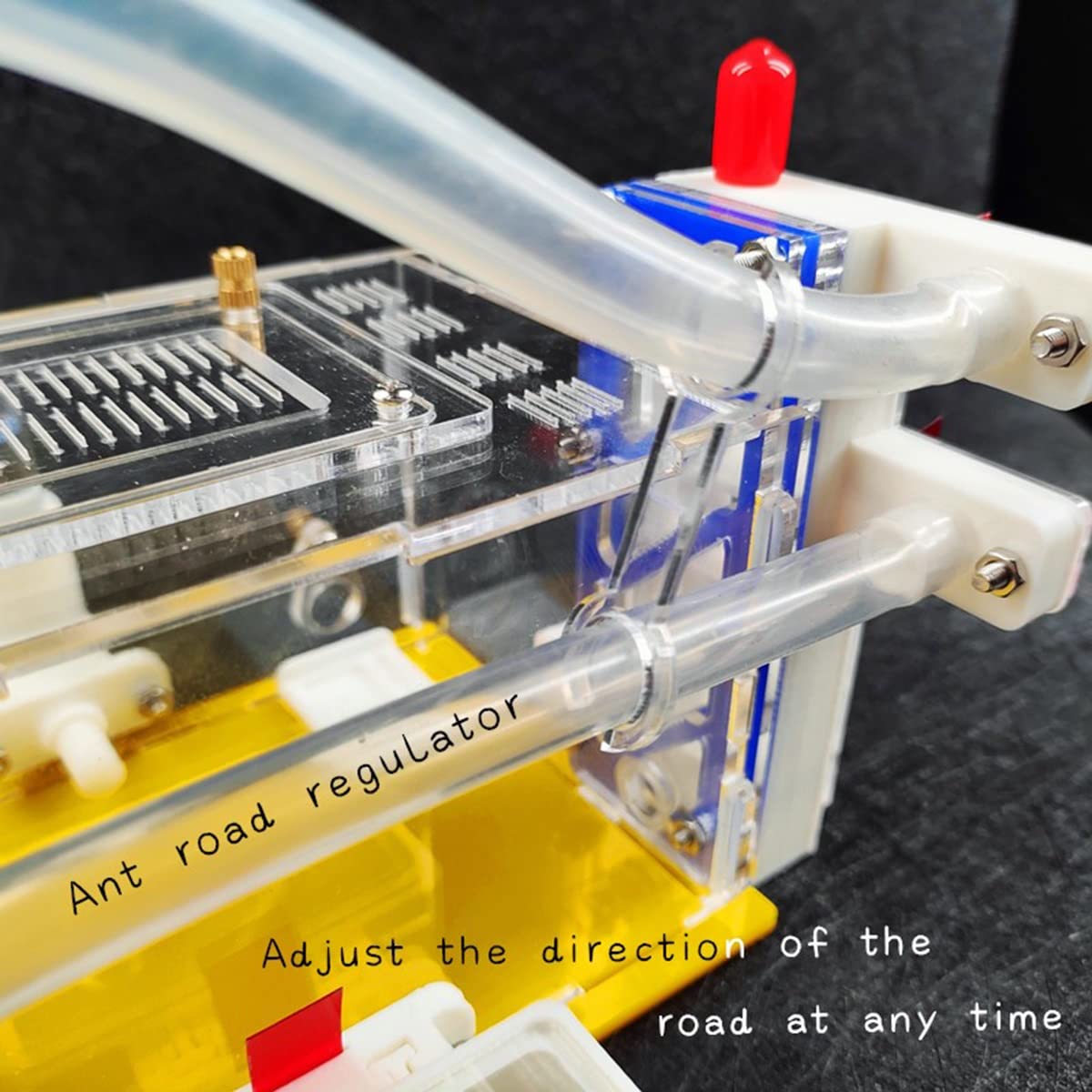 Granja de hormigas KXCR DIY Nido de hormigas de Acrílico 3D - Imagen 6