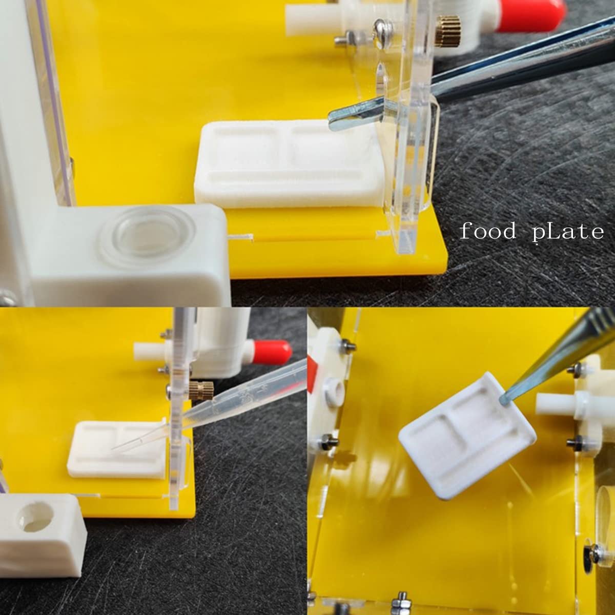 Granja de hormigas KXCR DIY Nido de hormigas de Acrílico 3D - Imagen 7