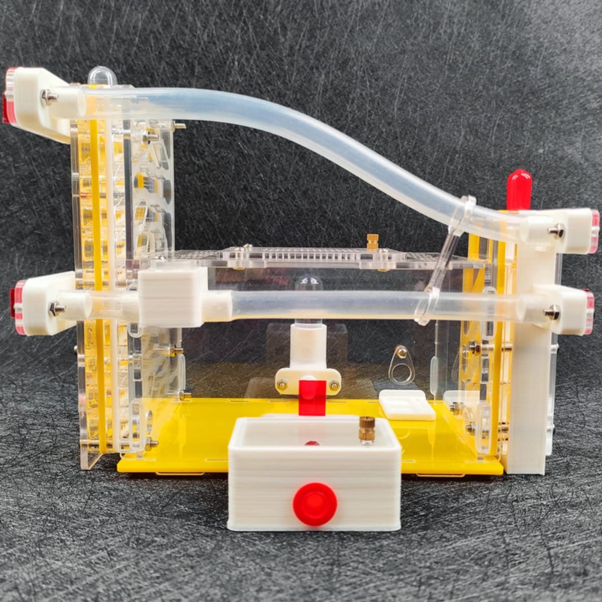 Granja de hormigas KXCR DIY Nido de hormigas de Acrílico 3D - Imagen 8