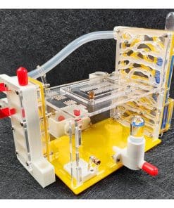 Granja de hormigas KXCR DIY Nido de hormigas de Acrílico 3D