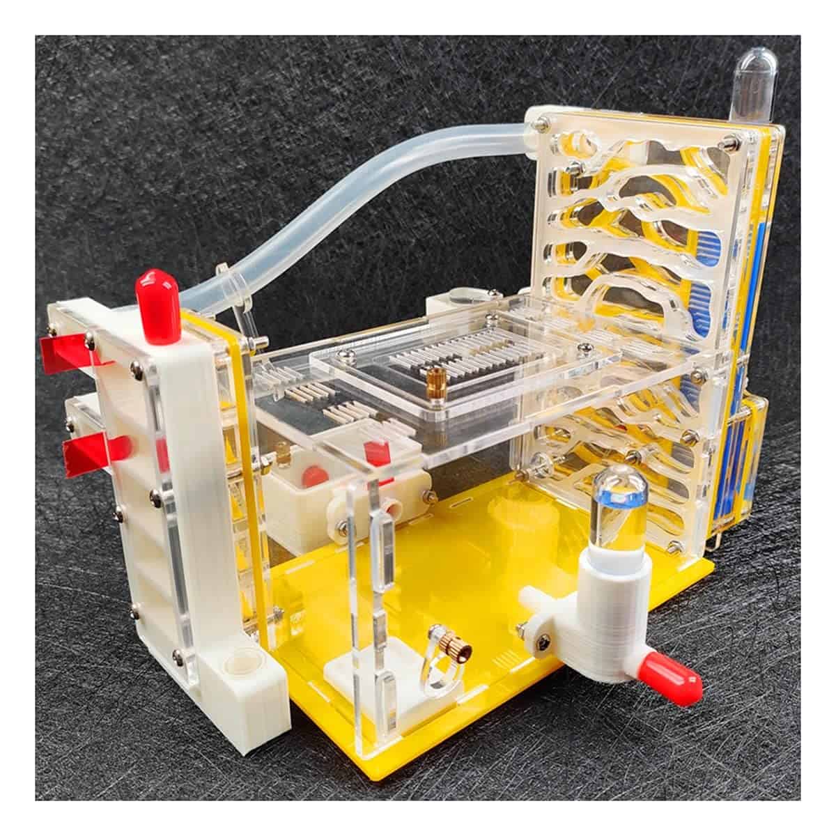 Granja de hormigas KXCR DIY Nido de hormigas de Acrílico 3D