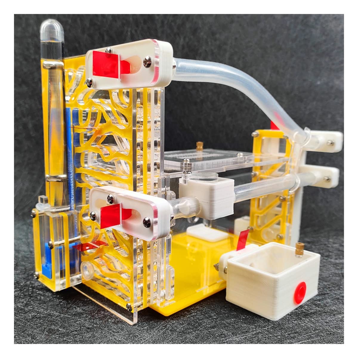 Granja de hormigas KXCR DIY Nido de hormigas de Acrílico 3D - Imagen 3