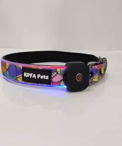 Collar LED para Perros KDFA Pets 2023 Luz Personalizada