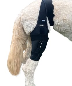 Férula para rodilla de perro Labra Dog, envoltura de
