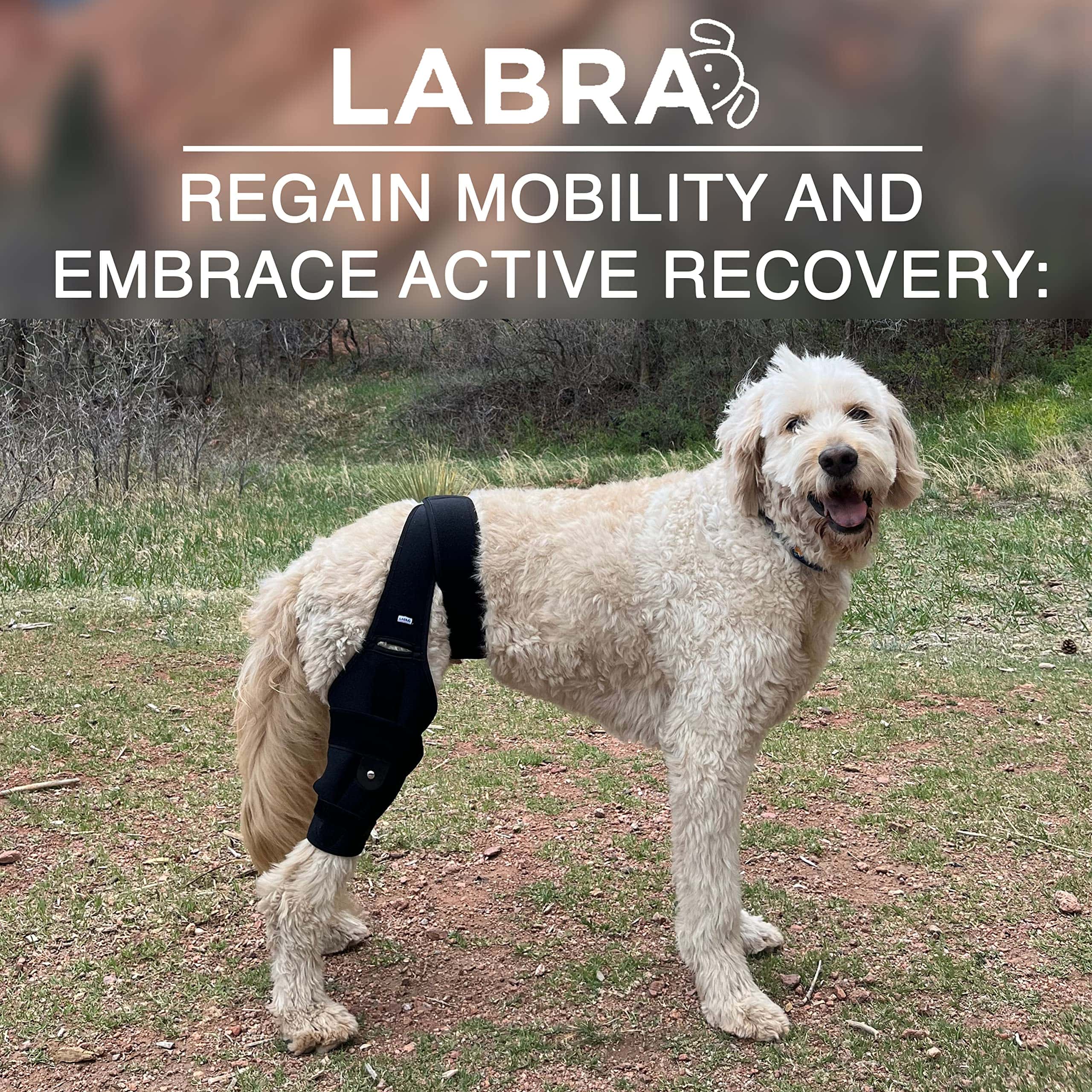 Labra Dog Canine Knee Stifle Brace Wrap, Metal Splint - Imagen 8