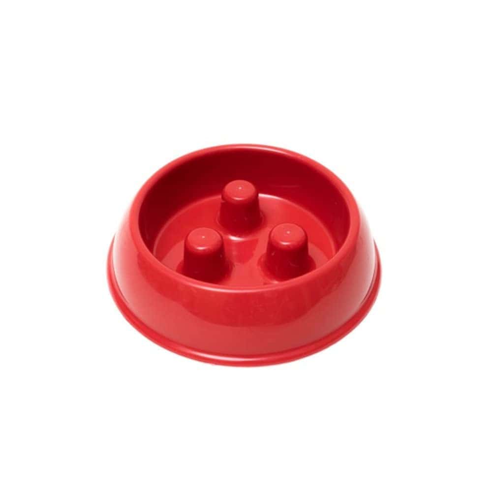 QT Dog - Bowl Brake-Fast - Rojo Pequeño - Paquete de 2