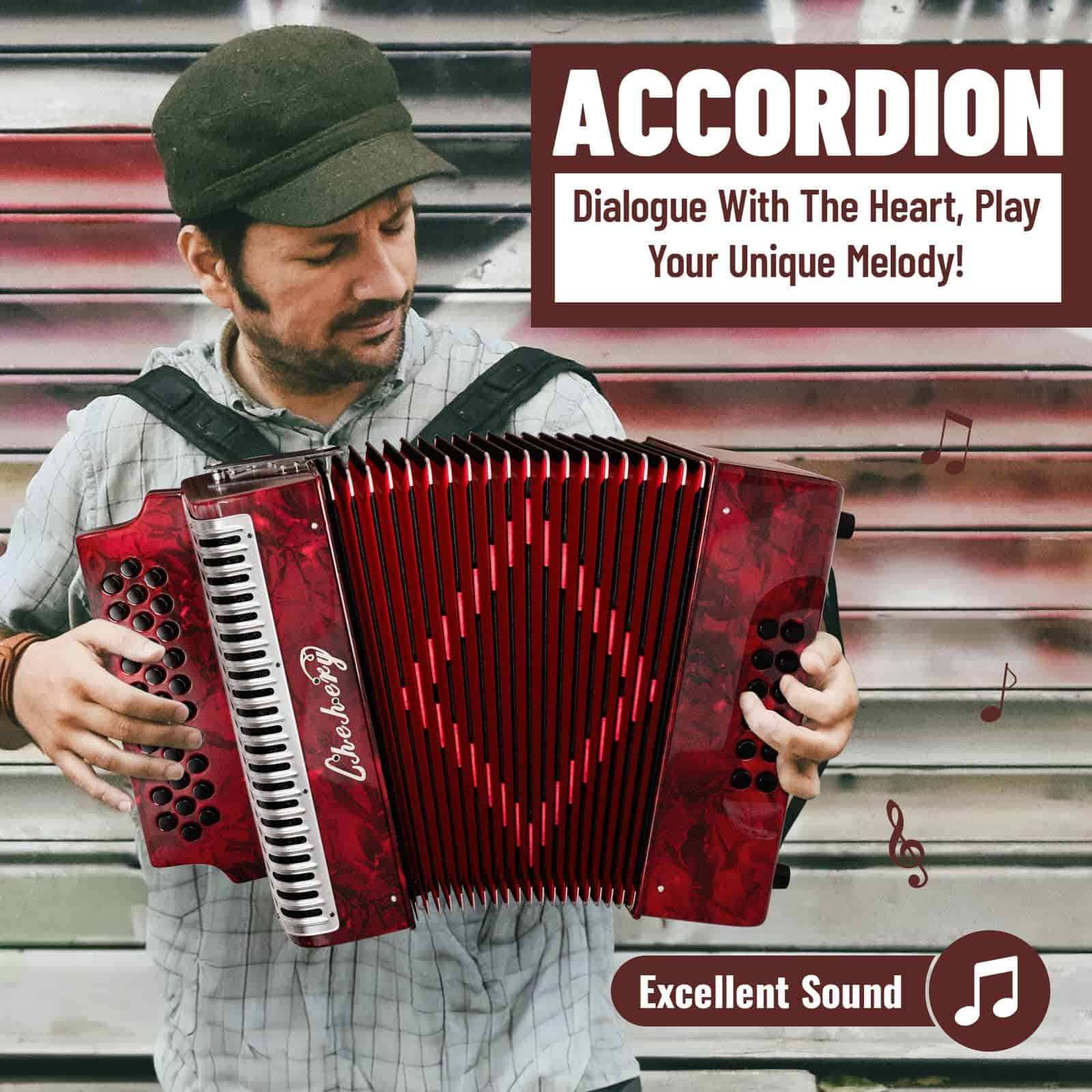 Acordeón - 31 Teclas 12 Bajos Diatónico G/C/F con Diseño - Imagen 3