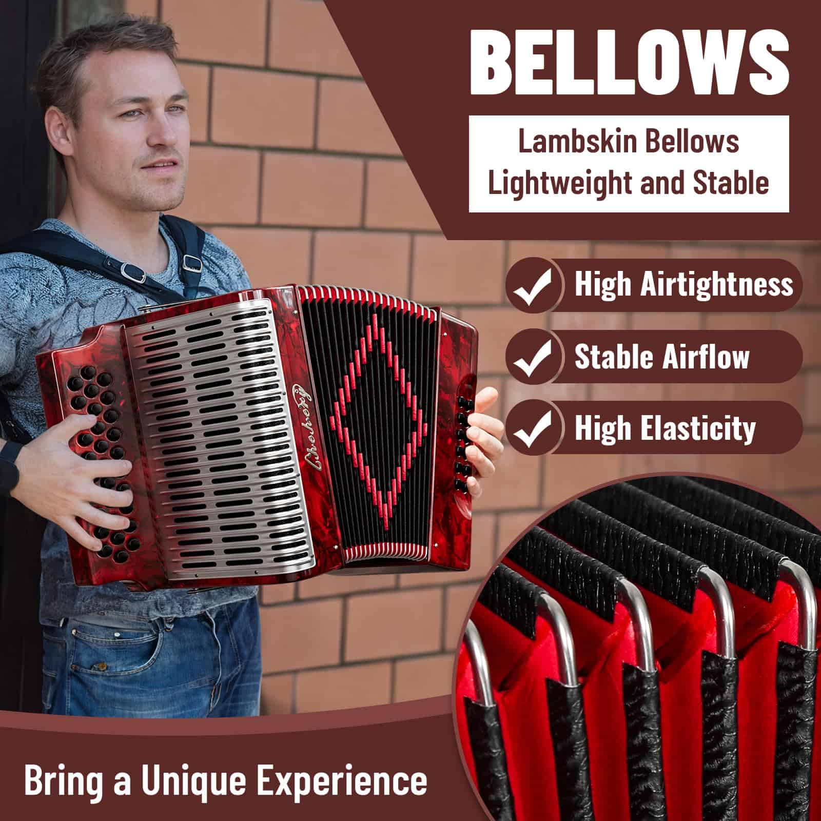 Acordeón - 31 Teclas 12 Bajos Diatónico G/C/F con Diseño - Imagen 5