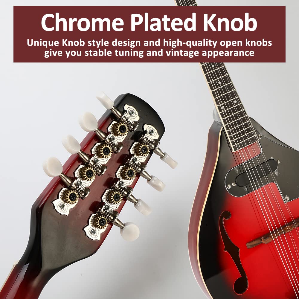 Mandolina Acústica de Estilo A Eavnbaek de 8 Cuerdas con - Imagen 6