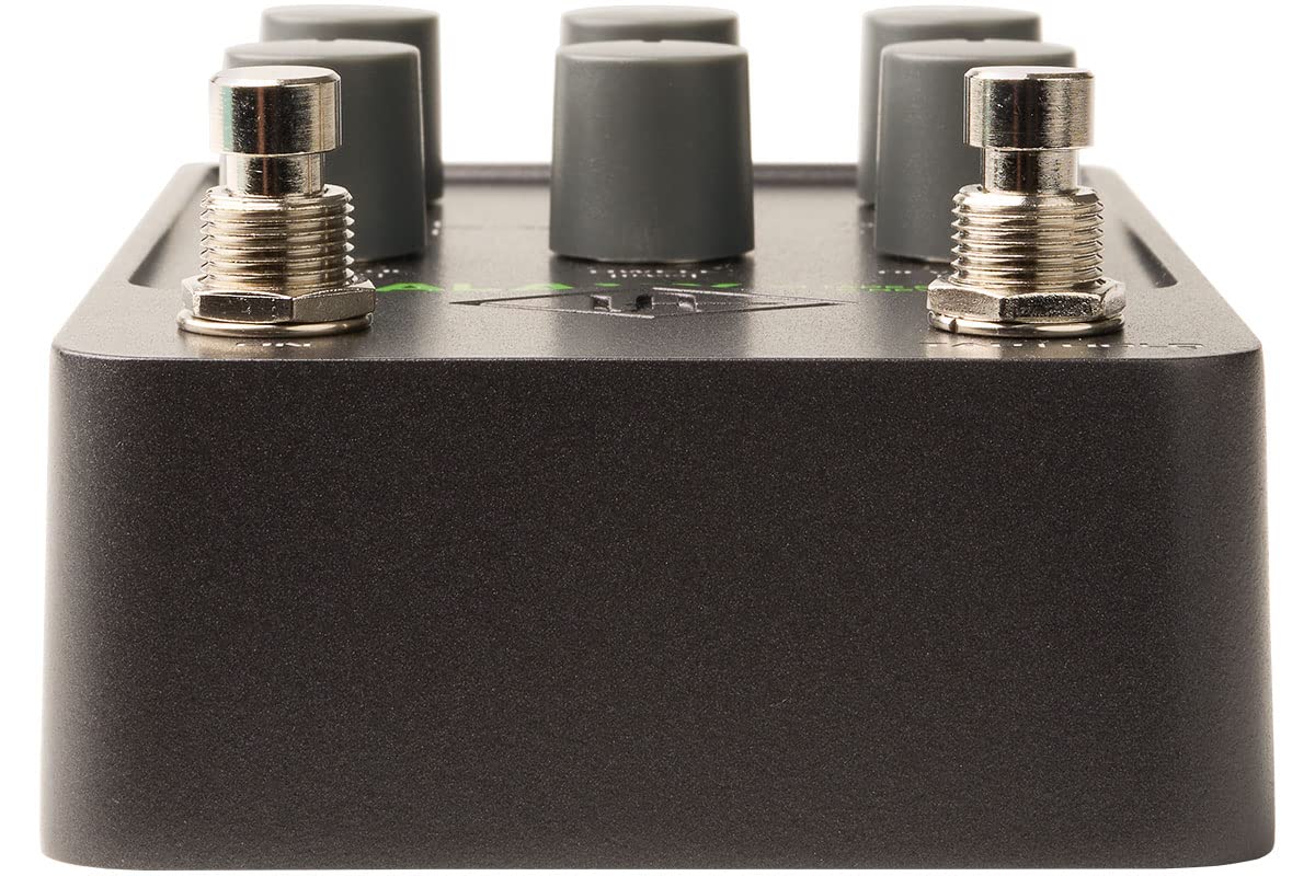 Galaxy '74 Tape Echo & Reverb - Imagen 4