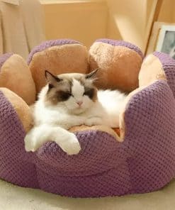 Cama para gatos y perros Pawtime para perros y gatos