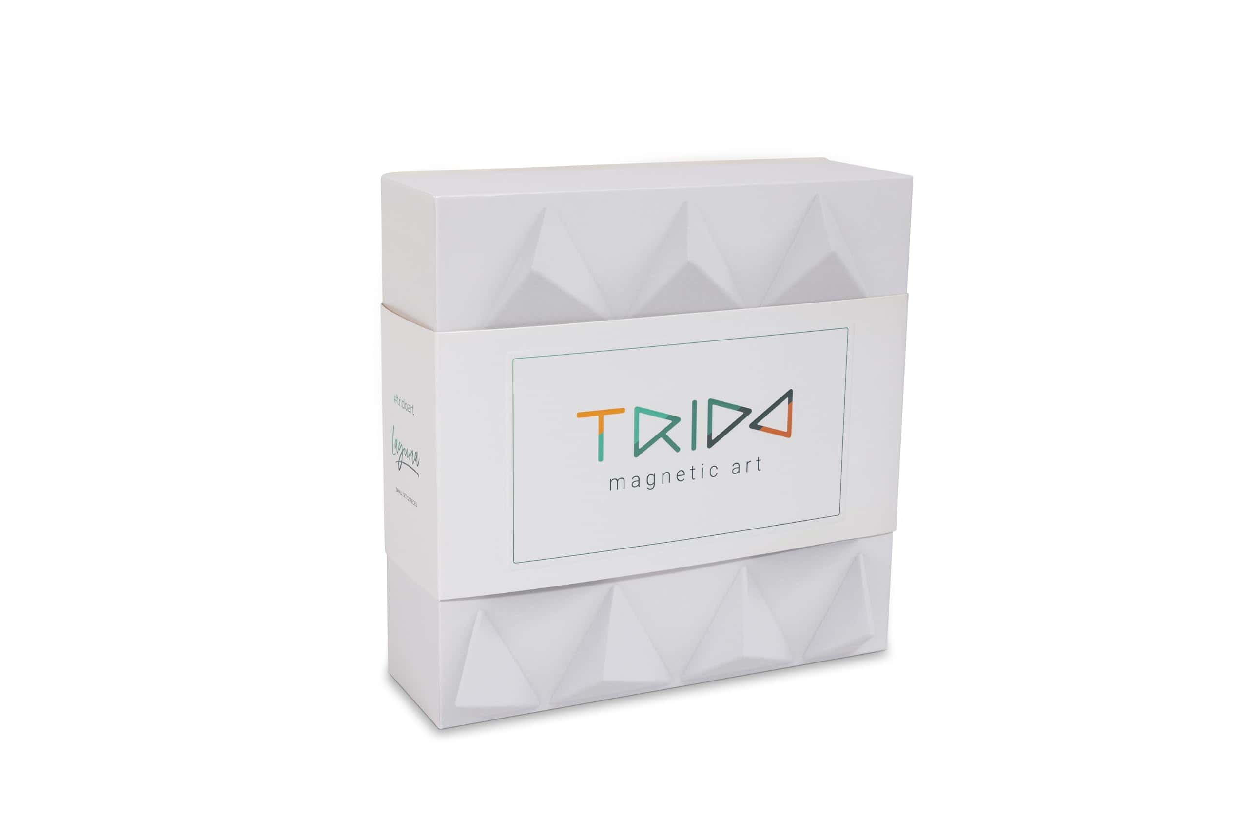 Set de 12 piezas de Figuras 3D Magnéticas Trido Laguna, Más - Imagen 4