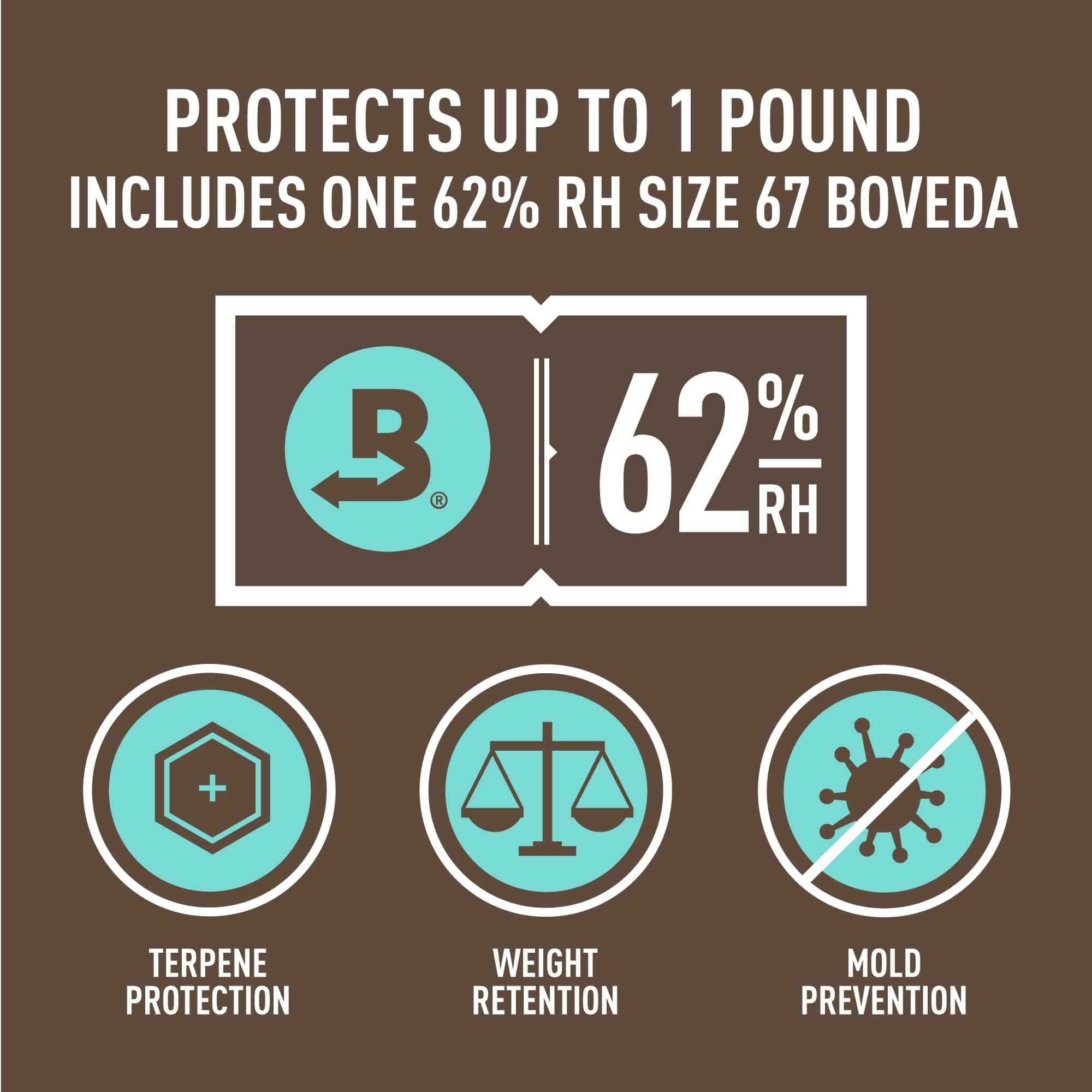 Boveda Fresh Bag � 62% RH Tamaño 67 Incluido - Para Curar y - Imagen 7