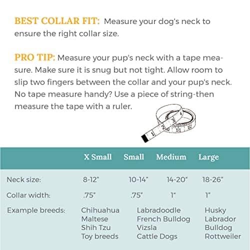 Collar para Perros Eco-Friendly Seawoof - Plateado Negro, - Imagen 6