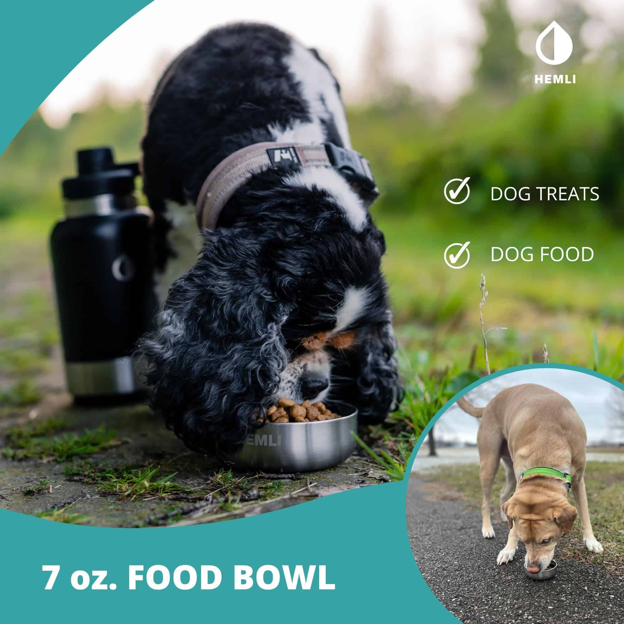 Botella de Agua para Perros Aislada Botella de Agua para - Imagen 4