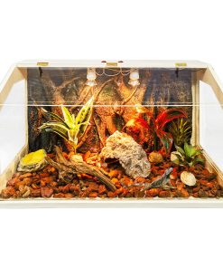 Terrario para lagartos Prolee de 21 galones a 68 galones