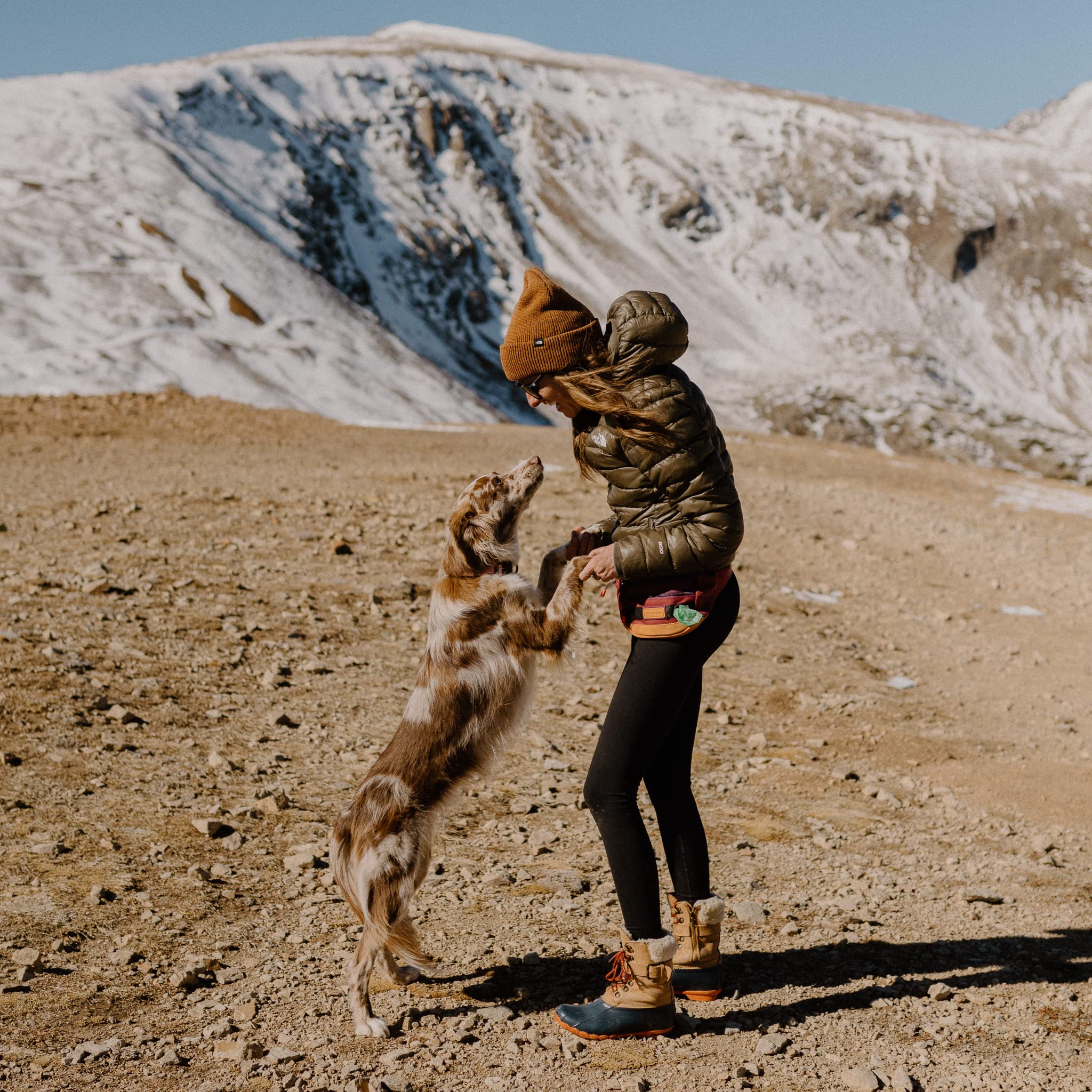 Wilderdog Bolsa de Cintura para Perros - Almacenamiento de - Imagen 7