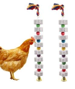 Oooct 2 Pack Juguete Grande de Masticar para Pollos, Piedra