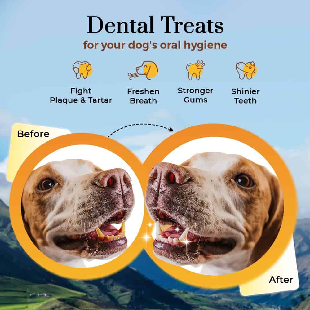 Dogsee Himalayan Yak Chews para Perros Paquete a Granel 3lb - Imagen 4