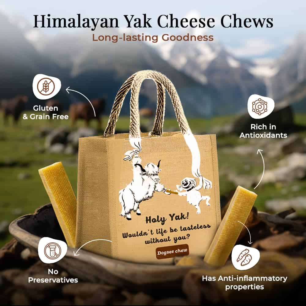 Dogsee Himalayan Yak Chews para Perros Paquete a Granel 3lb - Imagen 5