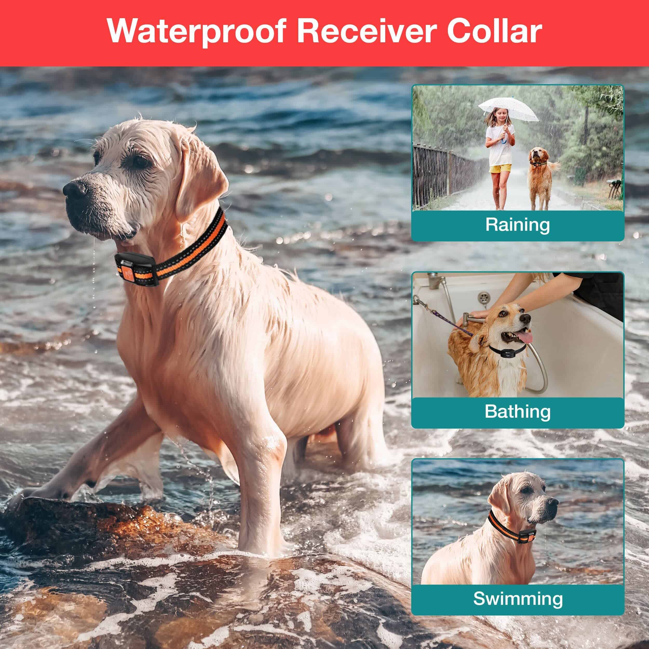 Collar de entrenamiento para perros para 2 perros, alcance - Imagen 9