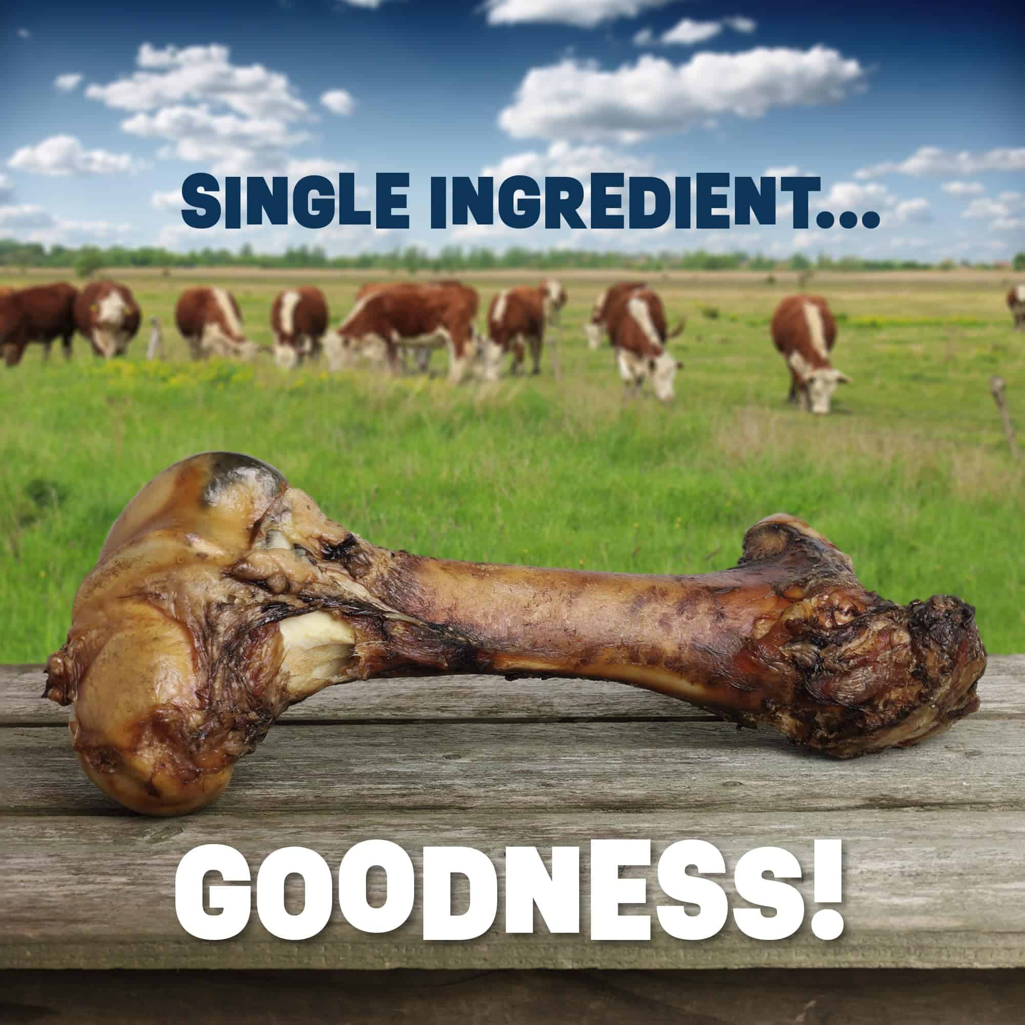 Huesos para Perros PUPDAWGS para Masticadores Agresivos | - Imagen 3