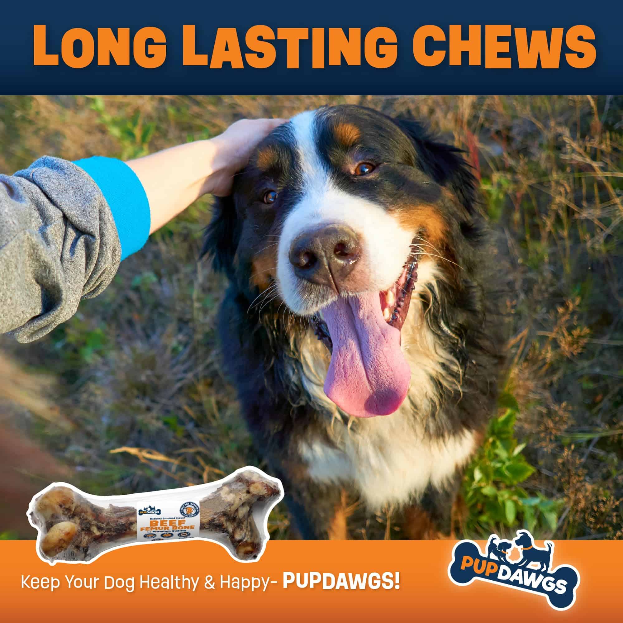 Huesos para Perros PUPDAWGS para Masticadores Agresivos | - Imagen 10