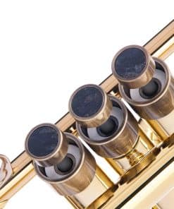 Botones de dedo para trompeta HEAVY -Bronce Lacado Antiguo