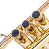 Botones de dedo para trompeta HEAVY -Baño de Oro 24K