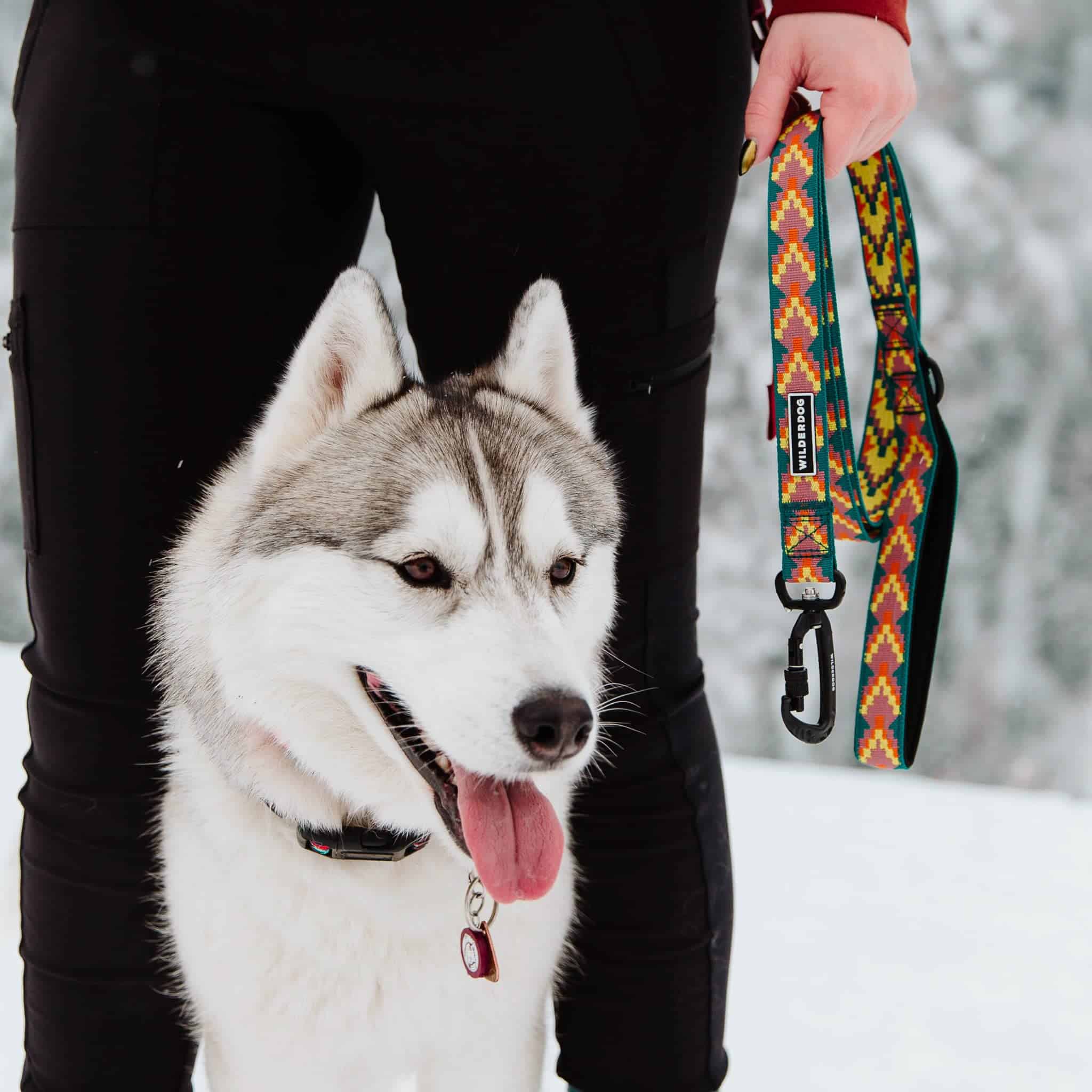 Correa Ultraligera Wilderdog para Perros de 6 pies de largo - Imagen 4