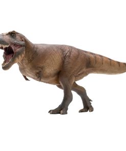 Serie de Museos de Dinosaurios PNSO (Cameron El