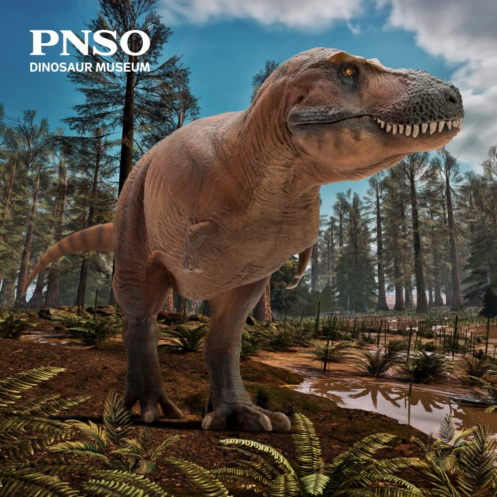 Serie de Museos de Dinosaurios PNSO (Cameron El - Imagen 3