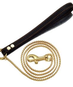 Correa de cadena de oro para perros Correa masticable para