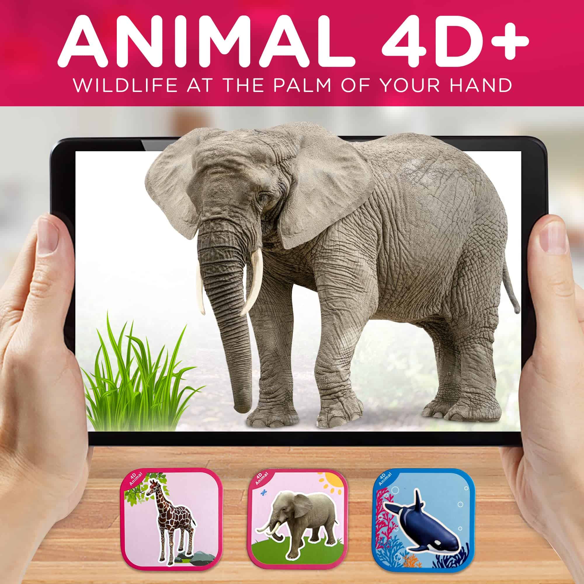 LumiKidz Tarjetas de Realidad Aumentada - Tarjetas de - Imagen 6